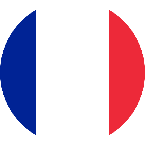 La solution d'audit intelligent Français