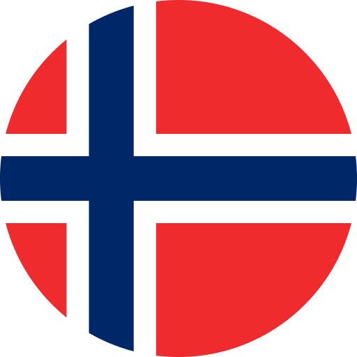 Den smarte revisjonsløsningen norsk