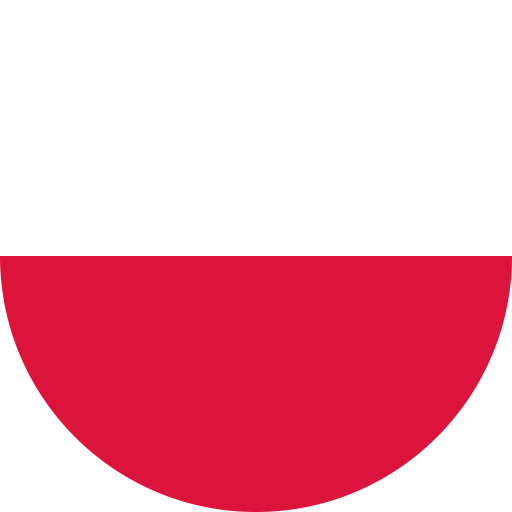 Inteligentne rozwiązanie audytowe polski