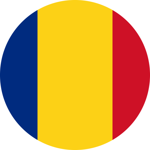 Soluția inteligentă de audit română