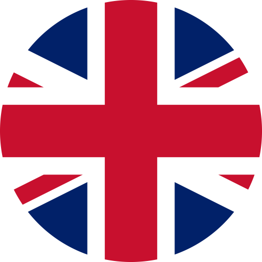 The smart audit solution English